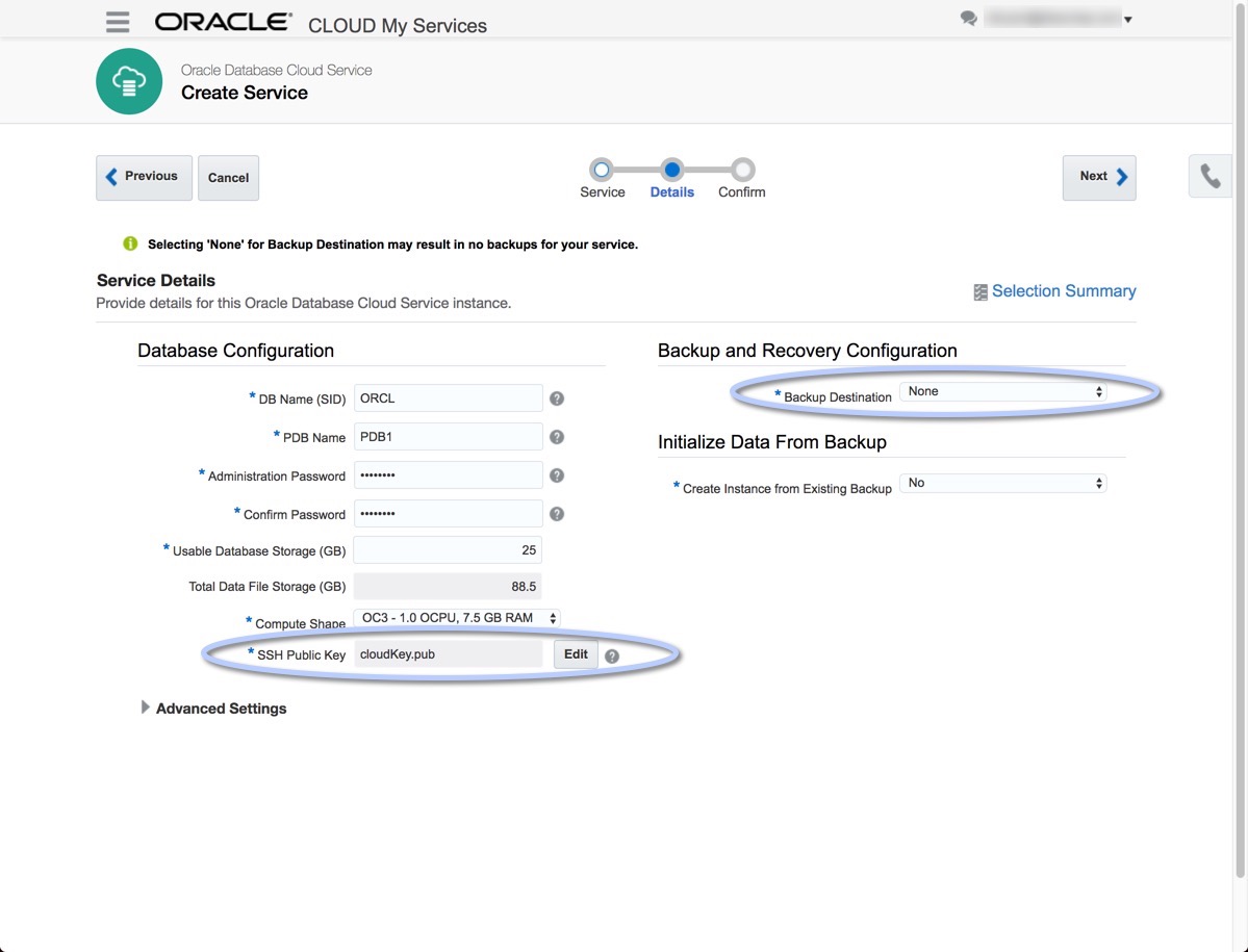 Basic Service_Details - DbaonTap